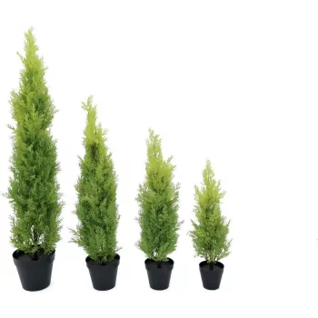 EUROPALMS Leyland-sypressi tekokasvi, 120 cm, vihreä lehvästö, musta ruukku 82606964