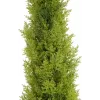EUROPALMS Leyland-sypressi tekokasvi, 120 cm, vihreä lehvästö, musta ruukku 82606964