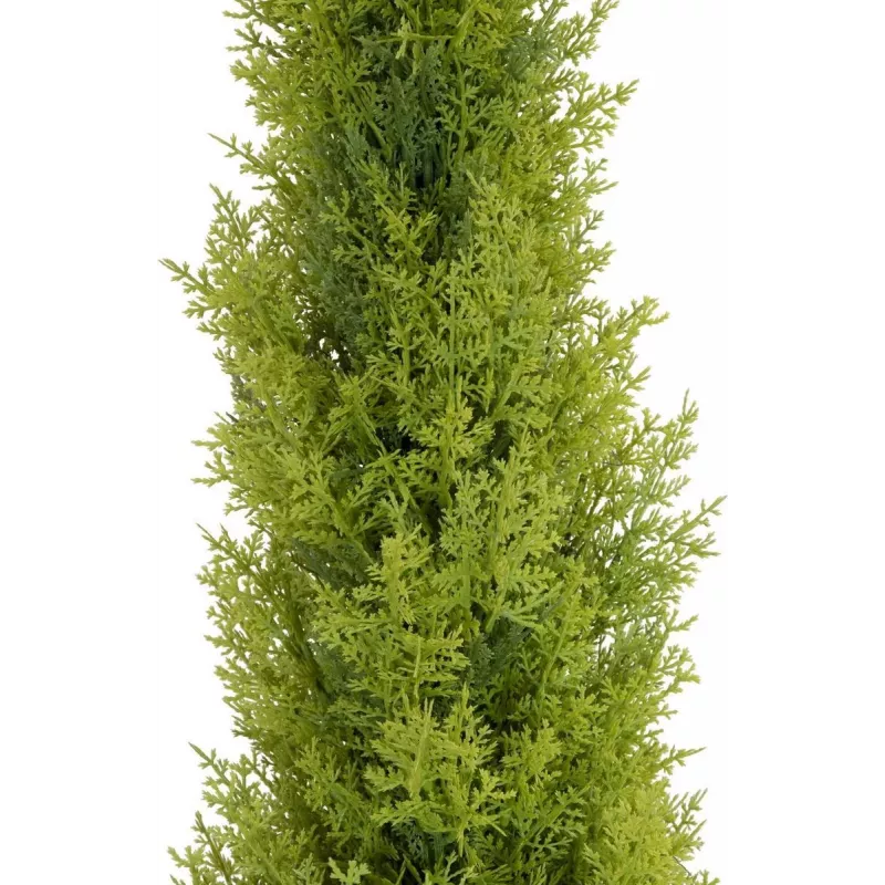 EUROPALMS Leyland-sypressi tekokasvi, 120 cm, vihreä lehvästö, musta ruukku 82606964