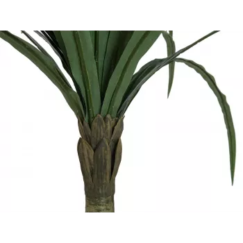 EUROPALMS Dracena tekokasvi, vihreä, 220cm 82505798
