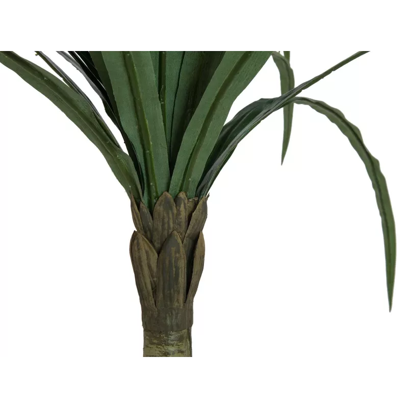 EUROPALMS Dracena tekokasvi, vihreä, 220cm 82505798