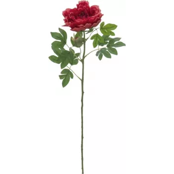 EUROPALMS Classic Peony Branch tekokasvi, magenta, 80cm 82530211