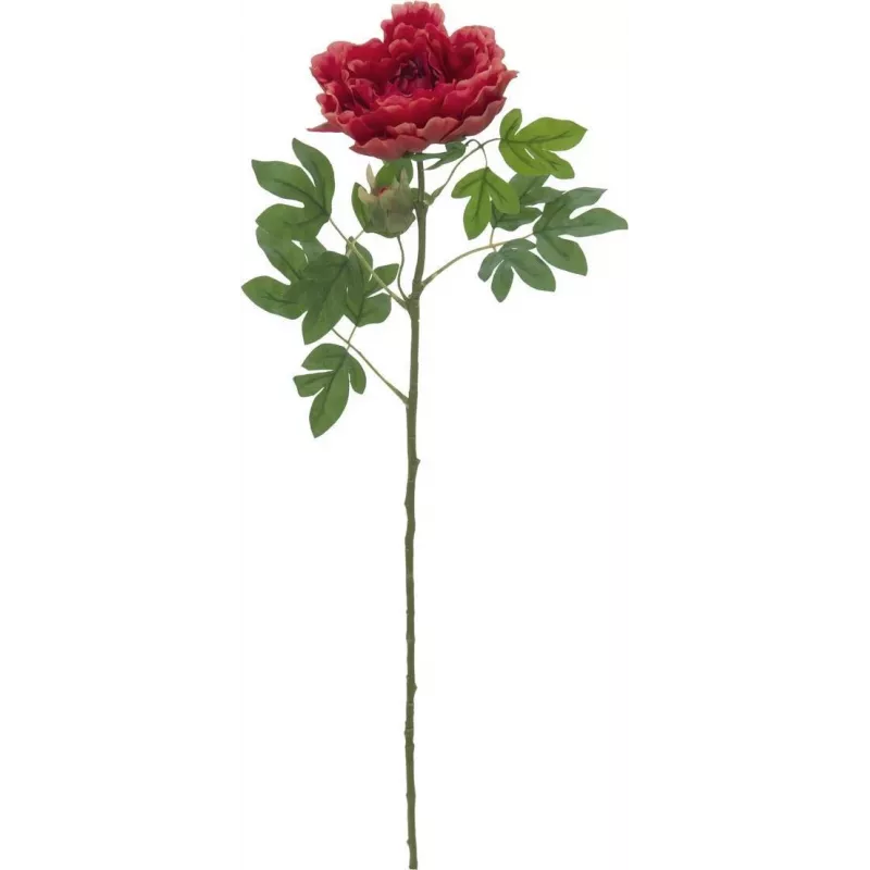 EUROPALMS Classic Peony Branch tekokasvi, magenta, 80cm 82530211