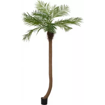 EUROPALMS Luxor kaareva keinotekoinen Phoenix-palmu, 240cm 82510726
