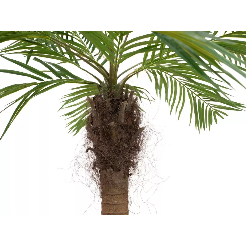 EUROPALMS Luxor kaareva keinotekoinen Phoenix-palmu, 240cm 82510726