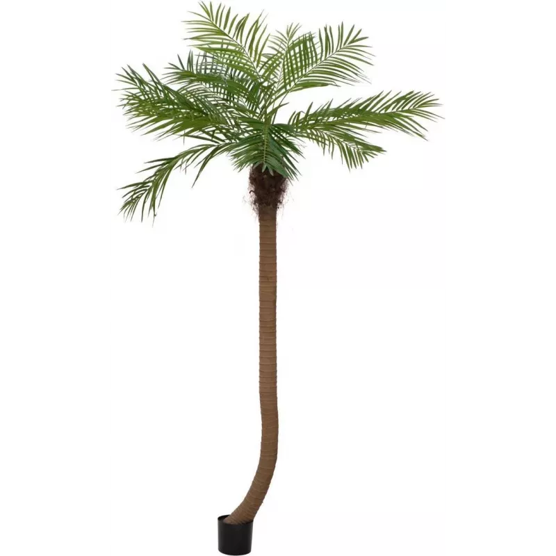 EUROPALMS Luxor kaareva keinotekoinen Phoenix-palmu, 240cm 82510726