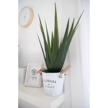 EUROPALMS keinotekoinen aloe vera -kasvi, 60 cm, musta ruukku 82600167