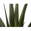 EUROPALMS keinotekoinen aloe vera -kasvi, 60 cm, musta ruukku 82600167