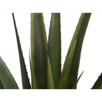 EUROPALMS keinotekoinen aloe vera -kasvi, 60 cm, musta ruukku 82600167