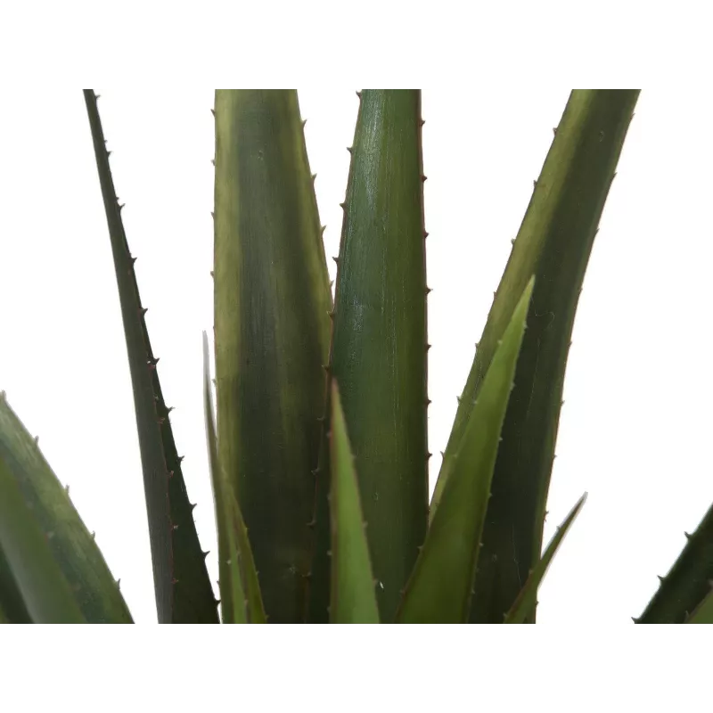 EUROPALMS keinotekoinen aloe vera -kasvi, 60 cm, musta ruukku 82600167