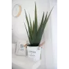 EUROPALMS keinotekoinen aloe vera -kasvi, 60 cm, musta ruukku 82600167