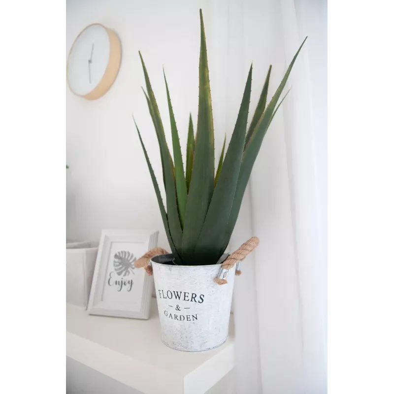 EUROPALMS keinotekoinen aloe vera -kasvi, 60 cm, musta ruukku 82600167