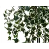 EUROPALMS Holland Ivy Hedge Screen Classic, keinotekoinen, 60cm 82502210