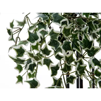 EUROPALMS Holland Ivy Hedge Screen Classic, keinotekoinen, 60cm 82502210