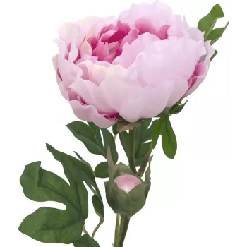 EUROPALMS Peony Branch Classic, tekokasvi, roosa, 80cm 82530210