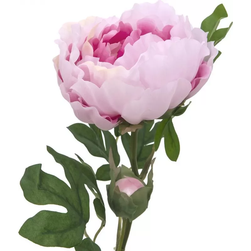 EUROPALMS Peony Branch Classic, tekokasvi, roosa, 80cm 82530210