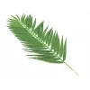 EUROPALMS kookospalmun lehdet, tekokasvi, 110 cm, 12 kpl:n pakkaus 82509897