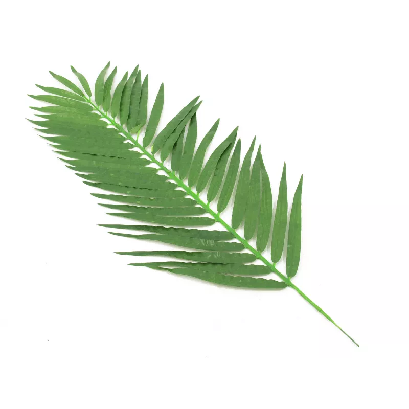 EUROPALMS kookospalmun lehdet, tekokasvi, 110 cm, 12 kpl:n pakkaus 82509897