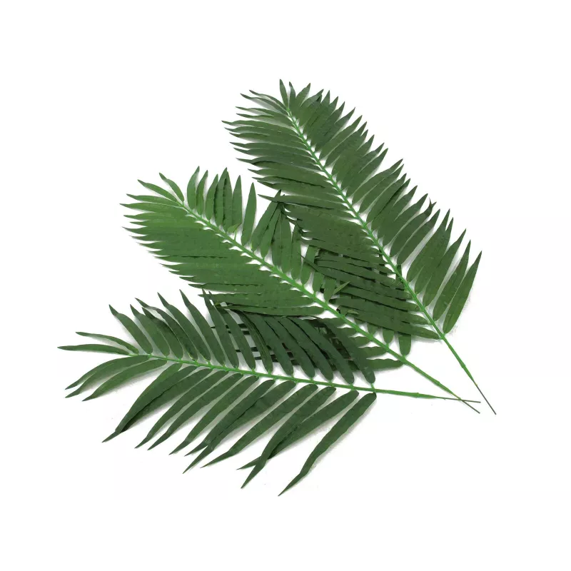 EUROPALMS kookospalmun lehdet, tekokasvi, 110 cm, 12 kpl:n pakkaus 82509897