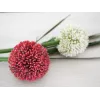 EUROPALMS tekokasvi allium-varsi, punainen, 55 cm 82530568