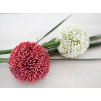 EUROPALMS tekokasvi allium-varsi, punainen, 55 cm 82530568