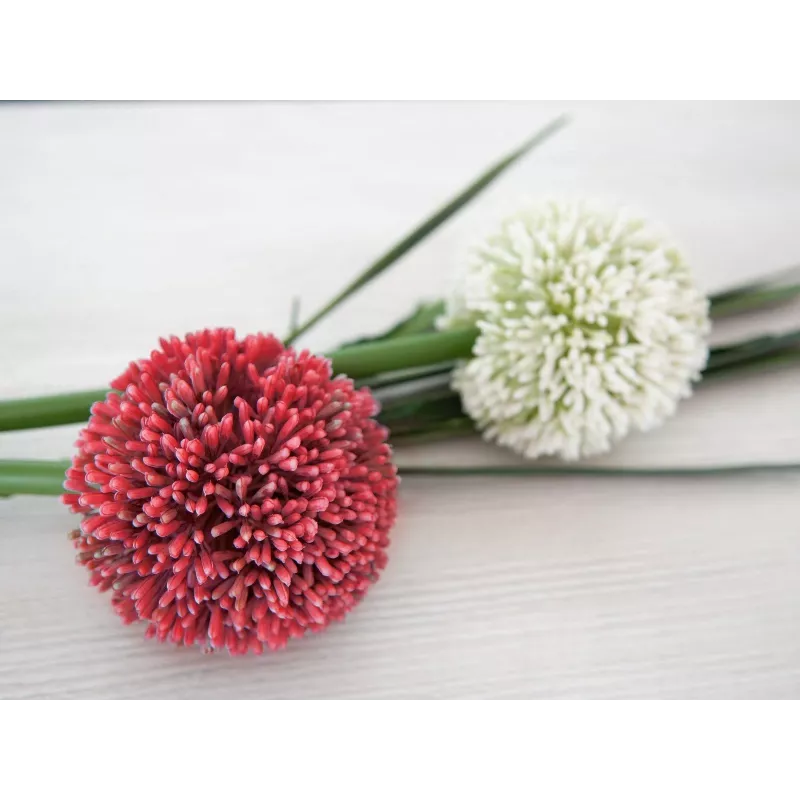 EUROPALMS tekokasvi allium-varsi, punainen, 55 cm 82530568