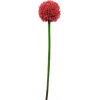 EUROPALMS tekokasvi allium-varsi, punainen, 55 cm 82530568