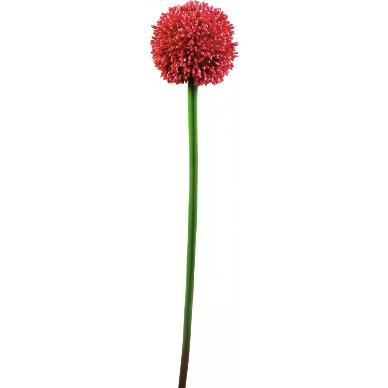 EUROPALMS tekokasvi allium-varsi, punainen, 55 cm 82530568