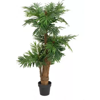 EUROPALMS arecapalmu tekokasvi, 140 cm 82509407