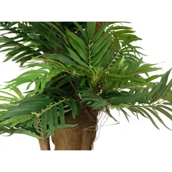 EUROPALMS arecapalmu tekokasvi, 140 cm 82509407
