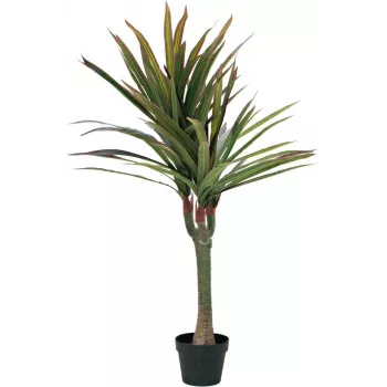 EUROPALMS keinotekoinen lohikäärmepuu, 120 cm 82505779