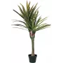 EUROPALMS keinotekoinen lohikäärmepuu, 120 cm 82505779