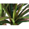 EUROPALMS keinotekoinen lohikäärmepuu, 120 cm 82505779