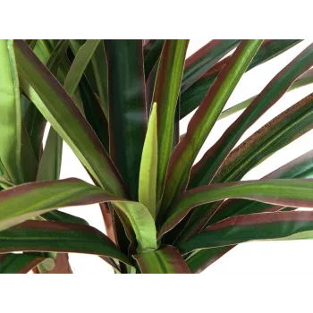 EUROPALMS keinotekoinen lohikäärmepuu, 120 cm 82505779