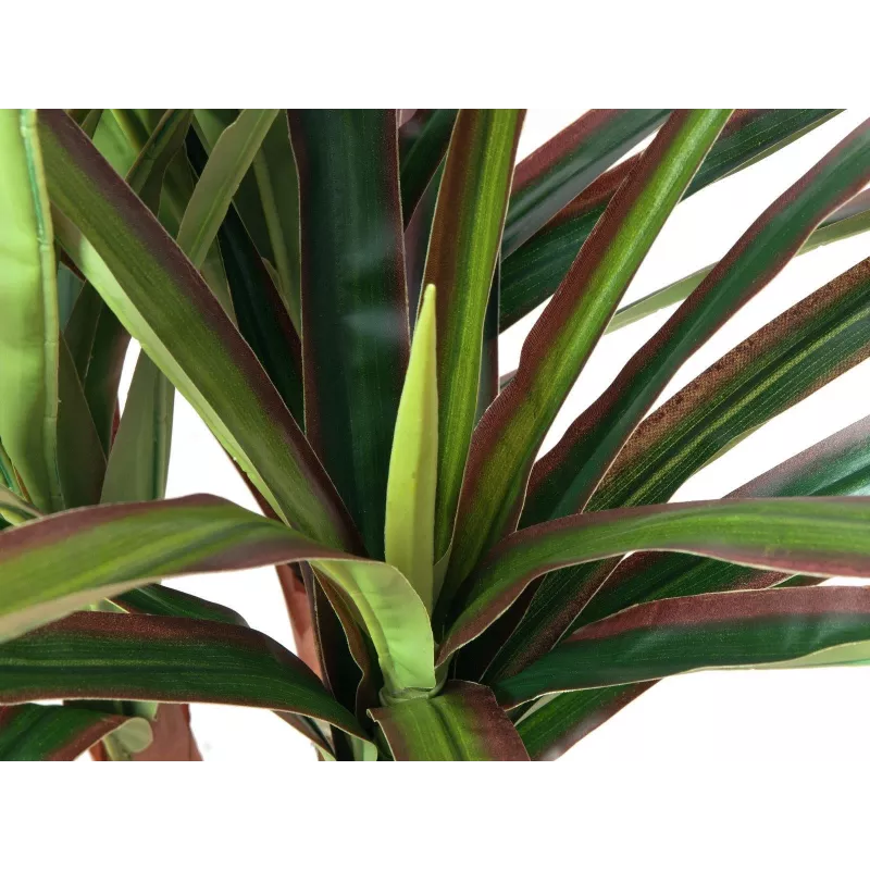 EUROPALMS keinotekoinen lohikäärmepuu, 120 cm 82505779