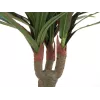 EUROPALMS keinotekoinen lohikäärmepuu, 120 cm 82505779