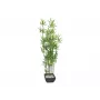 EUROPALMS tekobambu koristeellisessa maljakossa, 120 cm 82509261