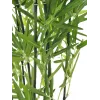 EUROPALMS tekobambu koristeellisessa maljakossa, 120 cm 82509261