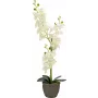 EUROPALMS orkidea tekokasvi, kerma, 80 cm 82530361