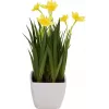 EUROPALMS keinotekoinen narsissi, 23 cm 82530542