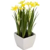 EUROPALMS keinotekoinen narsissi, 23 cm 82530542