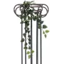 EUROPALMS Philodendron Bush Classic, tekokasvi, 70 cm 82502205
