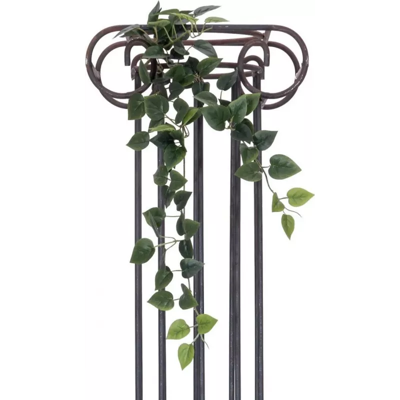 EUROPALMS Philodendron Bush Classic, tekokasvi, 70 cm 82502205
