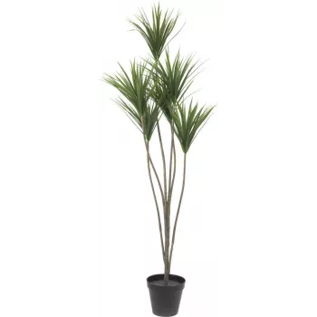 EUROPALMS yucca-palmu tekokasvi, 130 cm 82511552