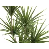 EUROPALMS yucca-palmu tekokasvi, 130 cm 82511552