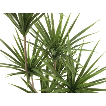EUROPALMS yucca-palmu tekokasvi, 130 cm 82511552