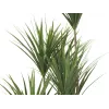 EUROPALMS yucca-palmu tekokasvi, 130 cm 82511552