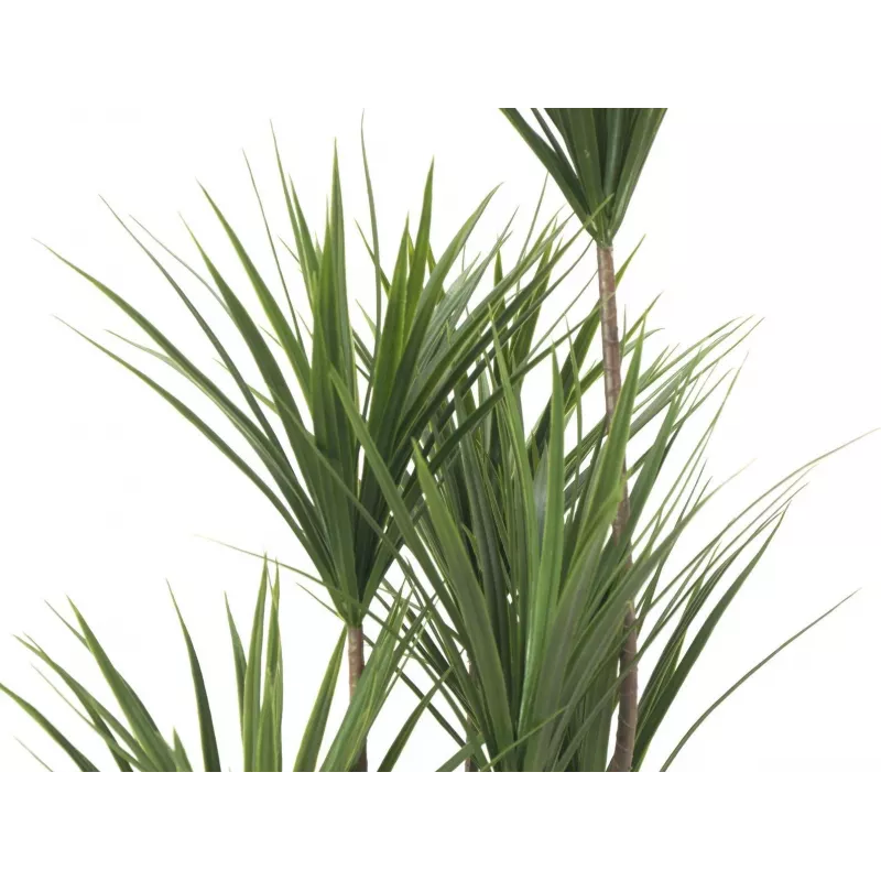 EUROPALMS yucca-palmu tekokasvi, 130 cm 82511552