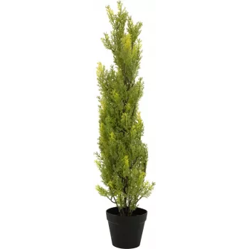 EUROPALMS Leyland-sypressi tekokasvi, 90 cm, musta ruukku 82606962