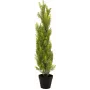 EUROPALMS Leyland-sypressi tekokasvi, 90 cm, musta ruukku 82606962